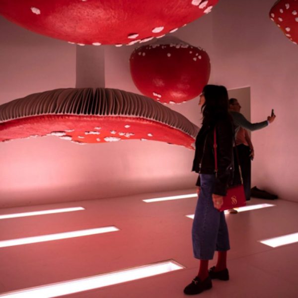 Contemporary Art for Designers